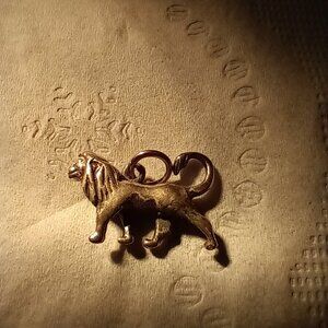 Masafa from Lion King .